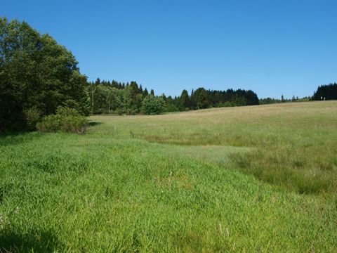 Foto 35